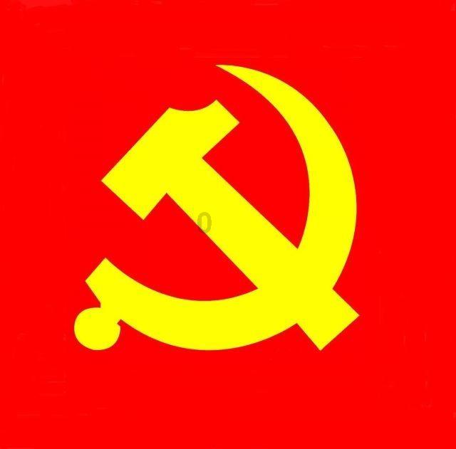 忍者鲨鱼